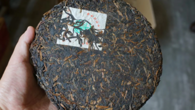 What Determines the Value of Pu Erh Tea Aged for Many Years